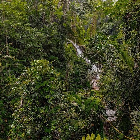 The Sebali Resort Ubud  Bagian luar foto A waterfall in the park