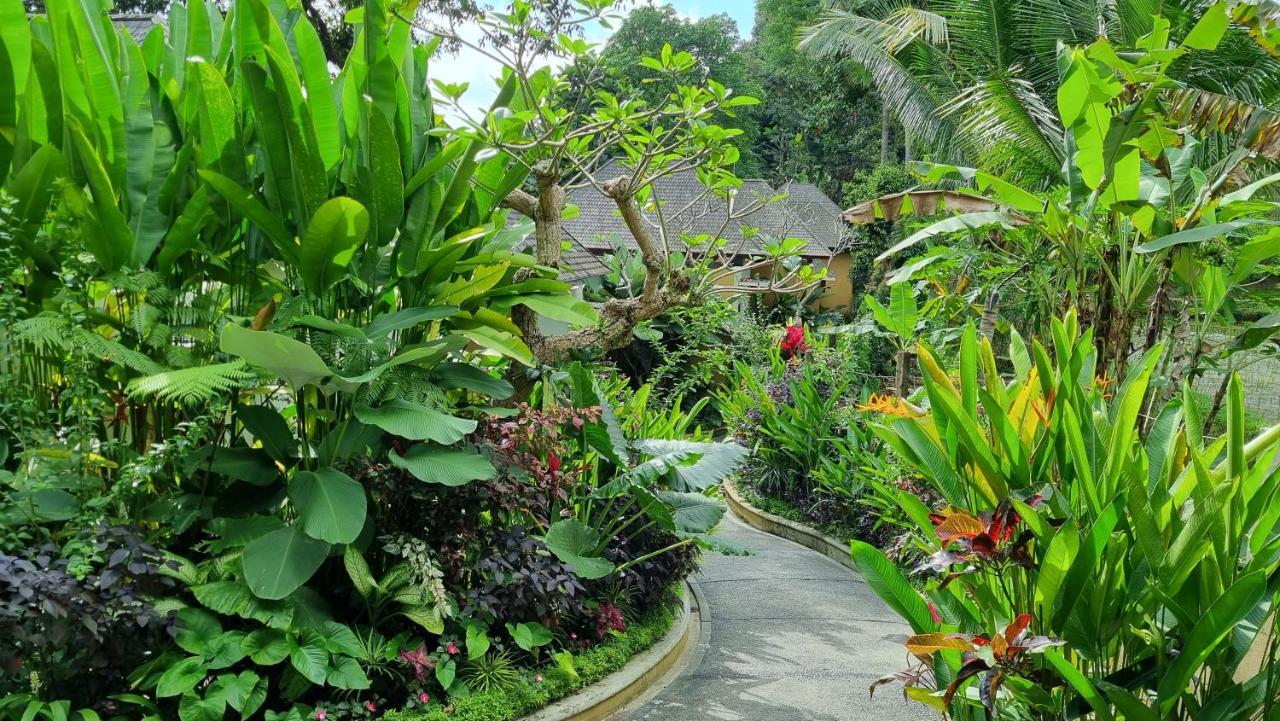 The Sebali Resort Ubud  Bagian luar foto A path in the park
