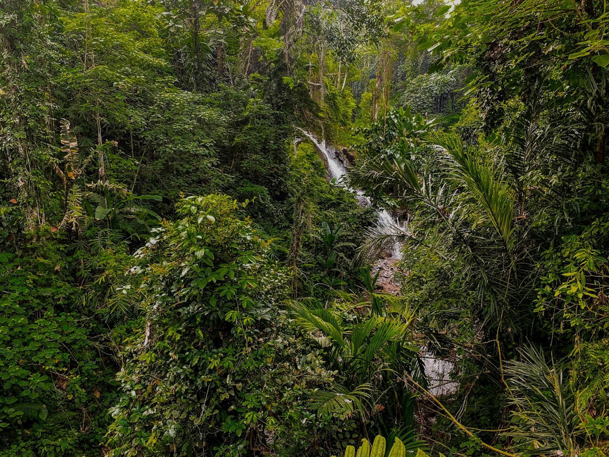 The Sebali Resort Ubud  Bagian luar foto A waterfall in the park